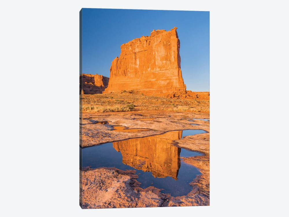 Canvas Wall Decor Prints V883872
