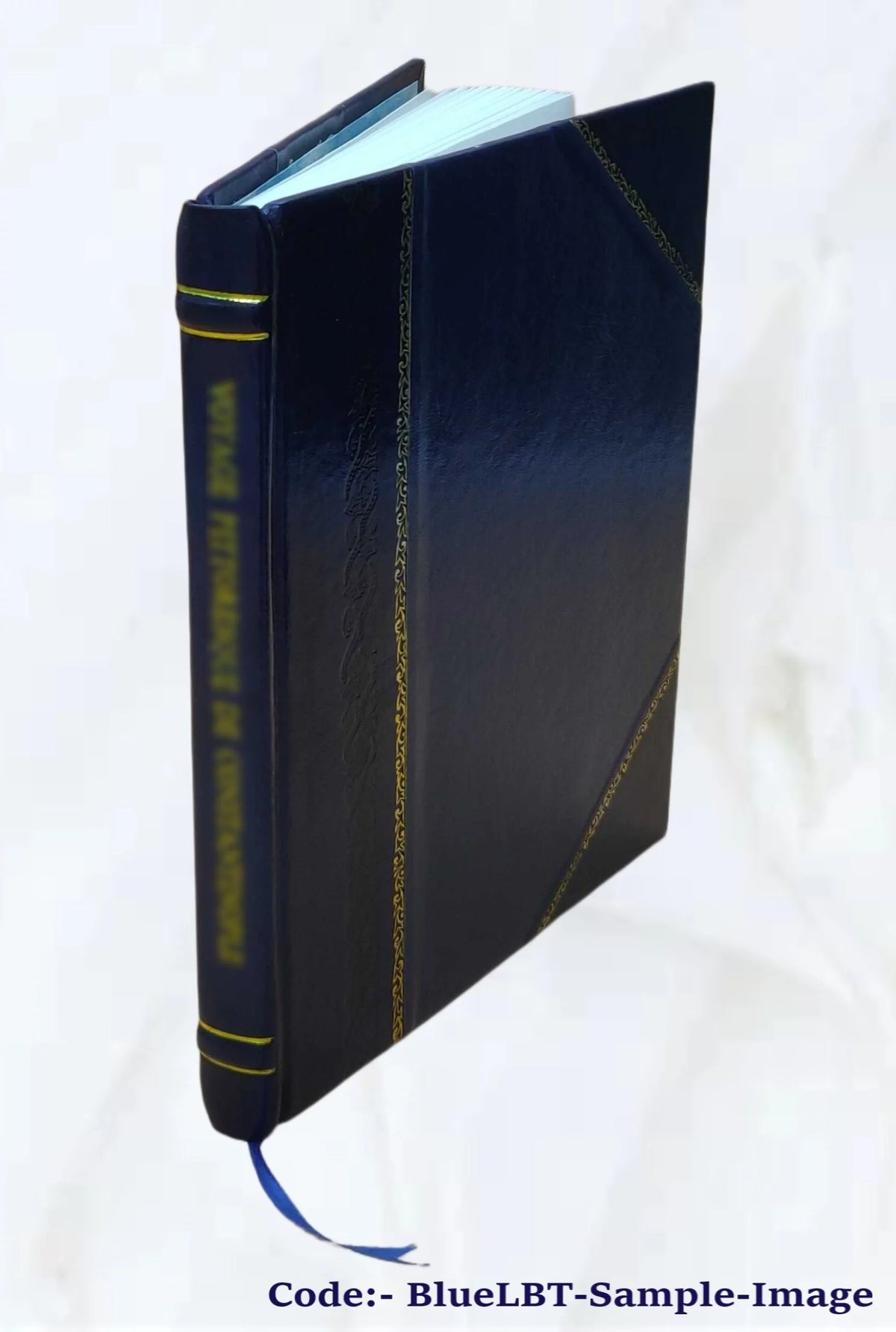 History of Ireland in the Nineteenth Century Leather Bound T341643