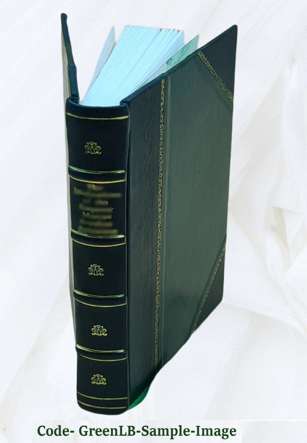 Leather Bound Book Y875