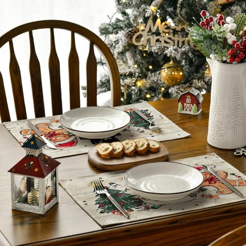 Set of 4 12x18 Inch Christmas Placemats J83989