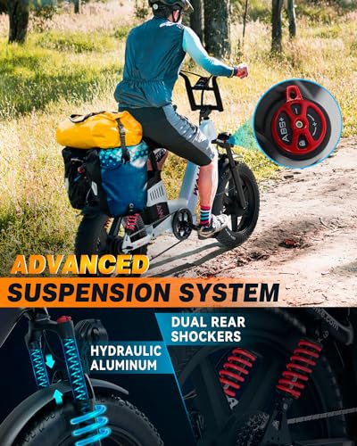 20 Inch Fat Tire Full Suspension Electric Bike Y322494