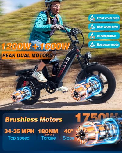 20 Inch Fat Tire Full Suspension Electric Bike Y322494