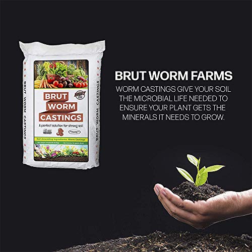 30 Lb Worm Castings C7847