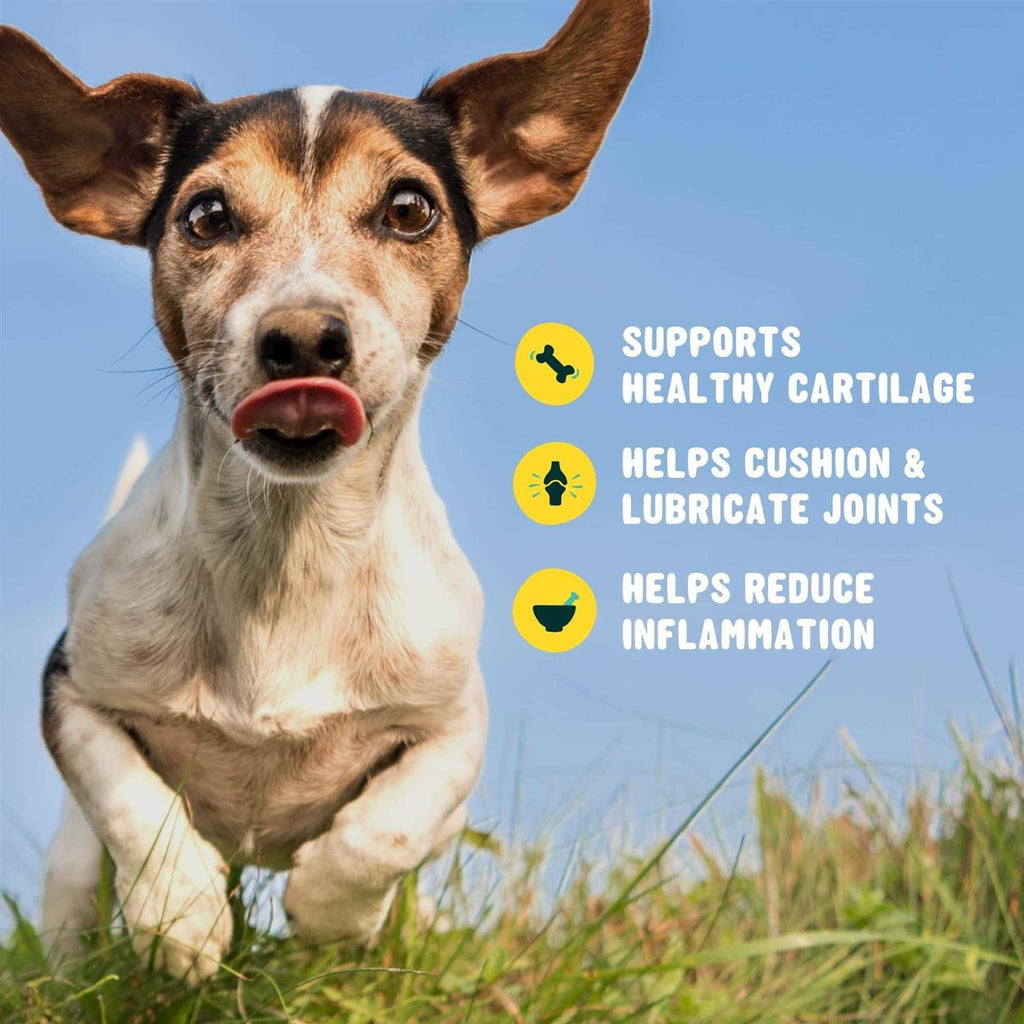 Glucosamine for Dogs Hip and Joint Supplement with Chondroitin, Turmeric, and Msm V53892