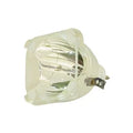 Replacement Projector TV Lamp P559137