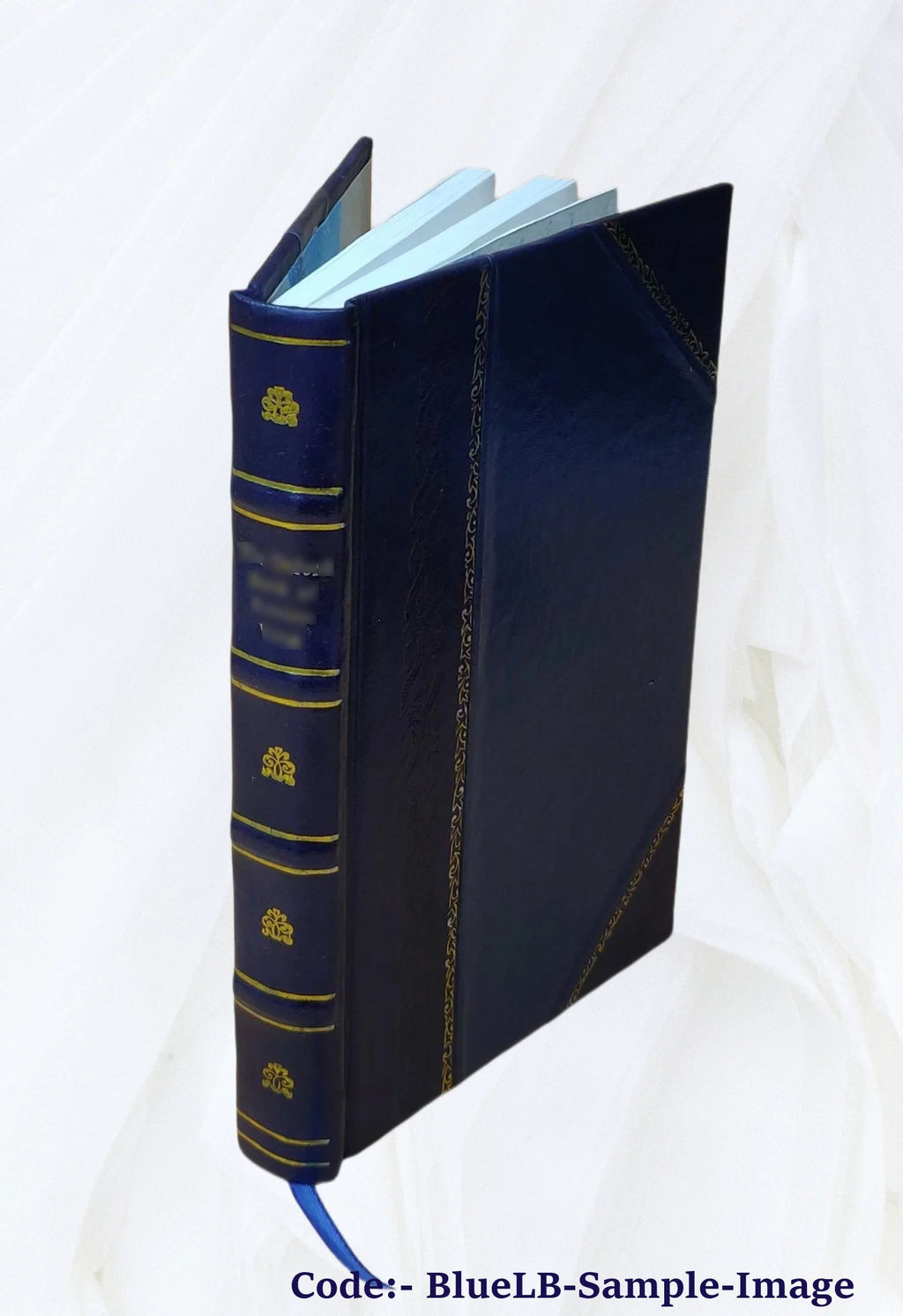Leather Bound B711344