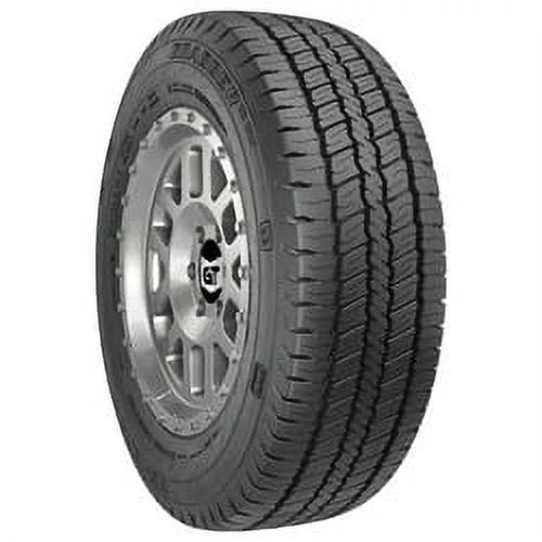 All Season Tire P872361