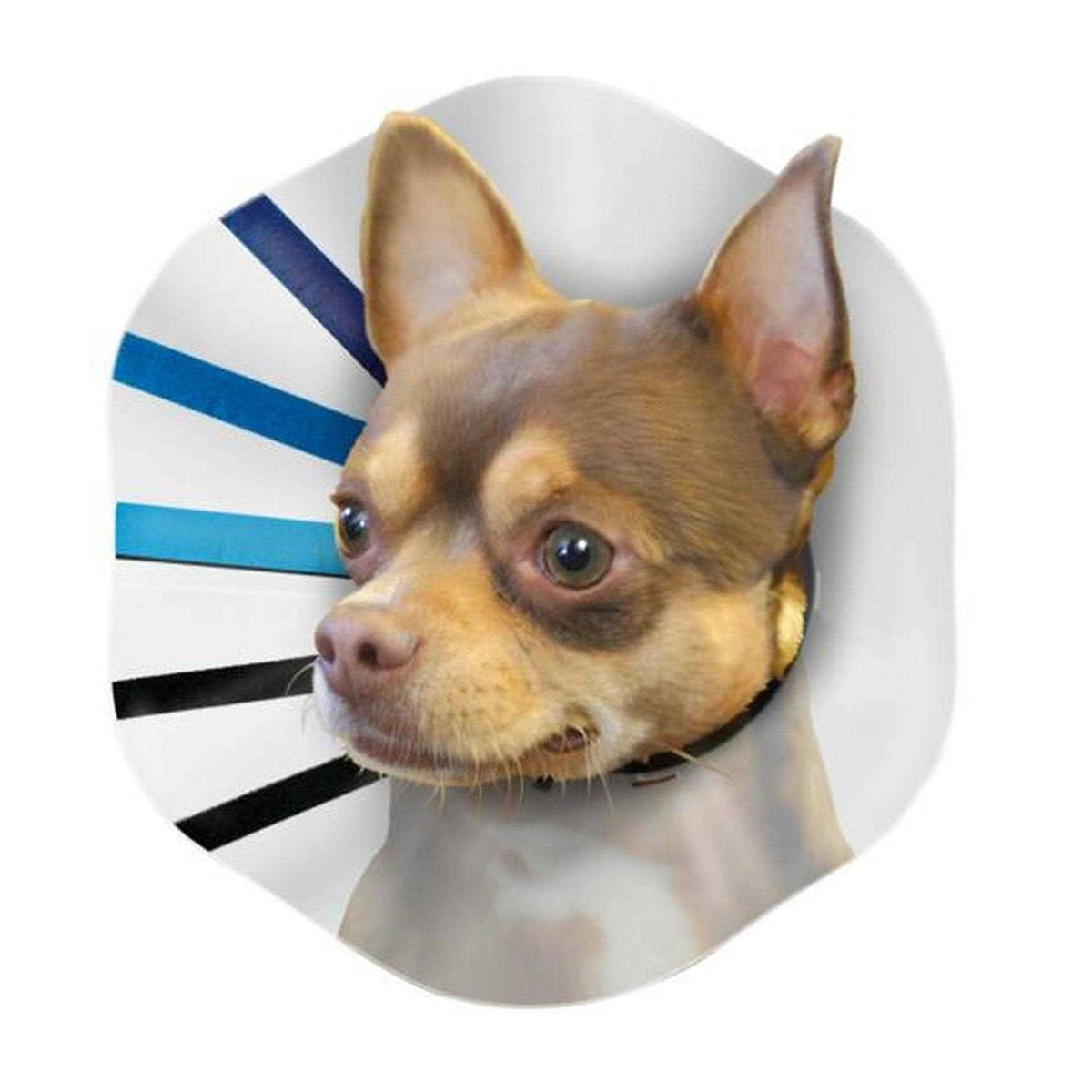 Clear Collar D73882