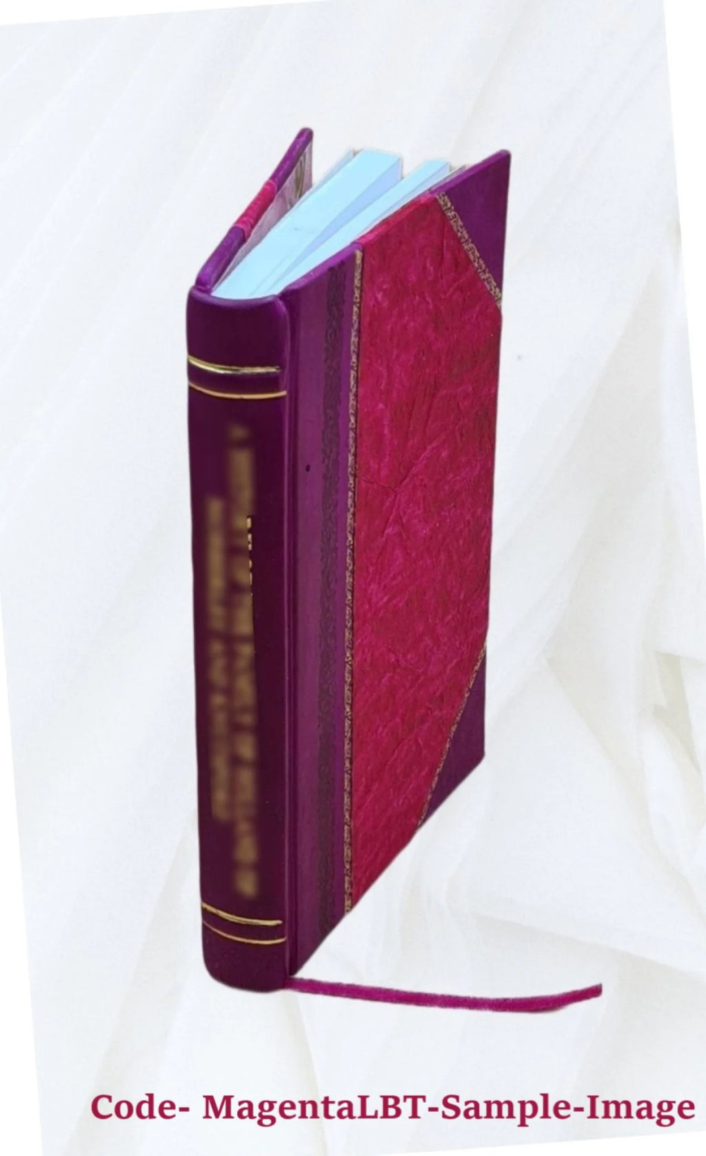 History of Ireland in the Nineteenth Century Leather Bound T341643