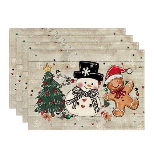 Set of 4 12x18 Inch Christmas Placemats J83989