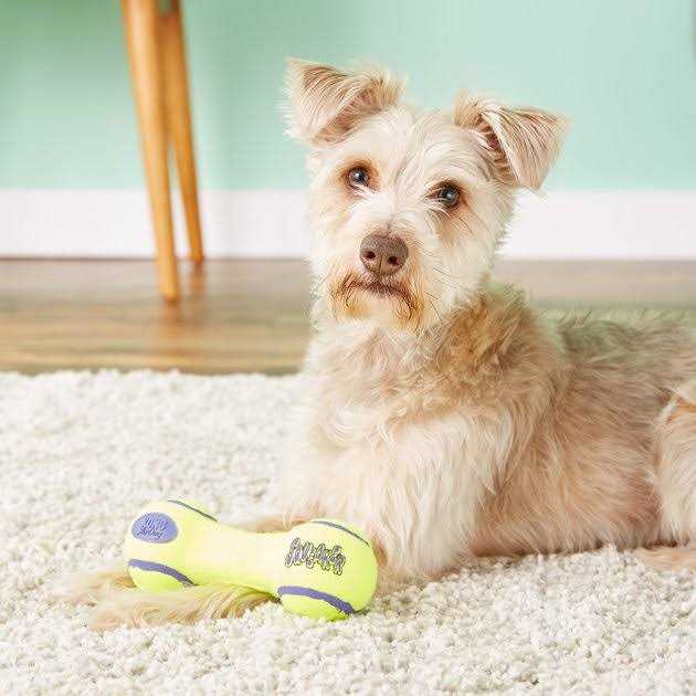 Squeaker Dumbbell Pet Supplies C950095