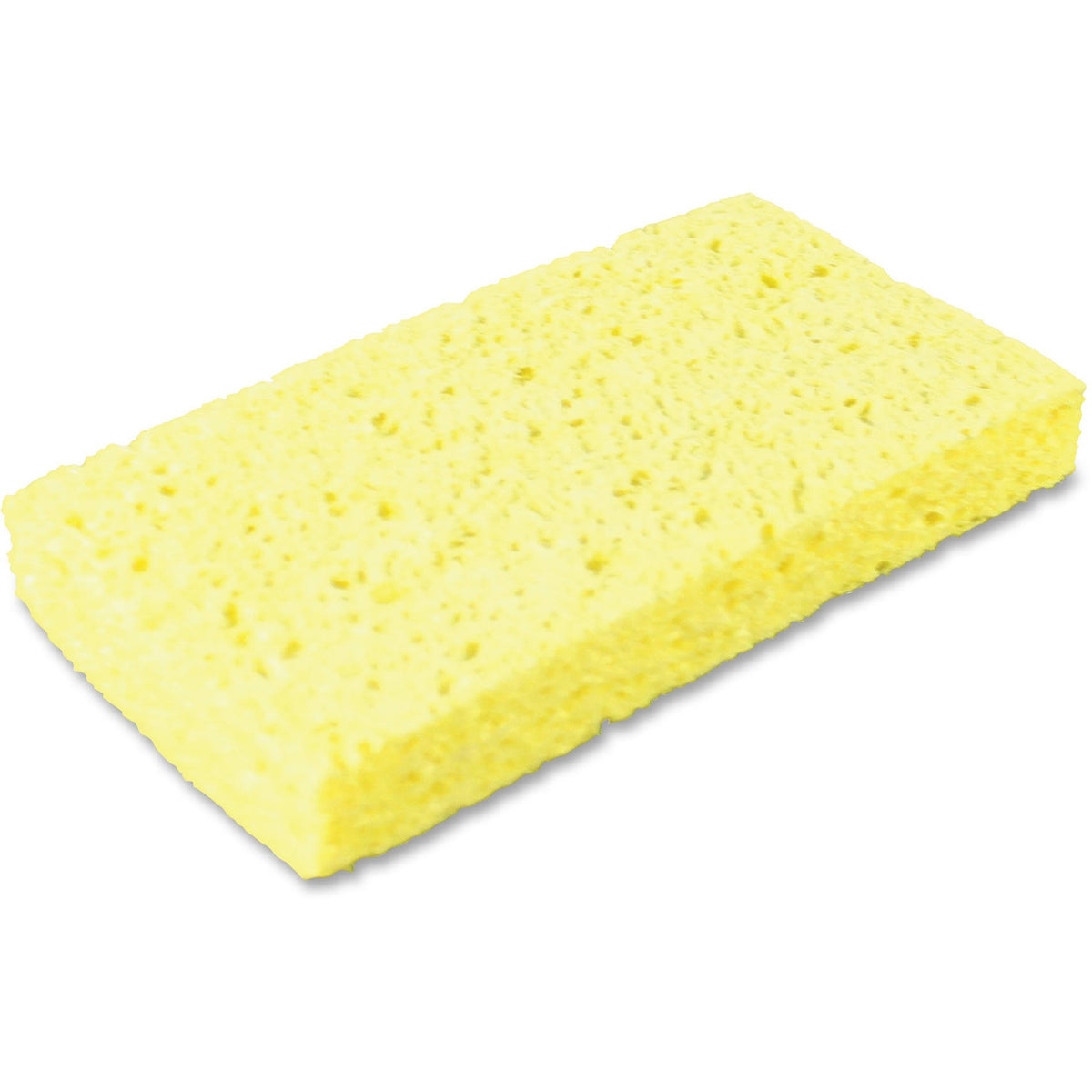 Small Cellulose Sponge P773