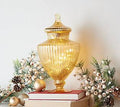 Illuminated Mercury Glass Apothecary Jar S5294