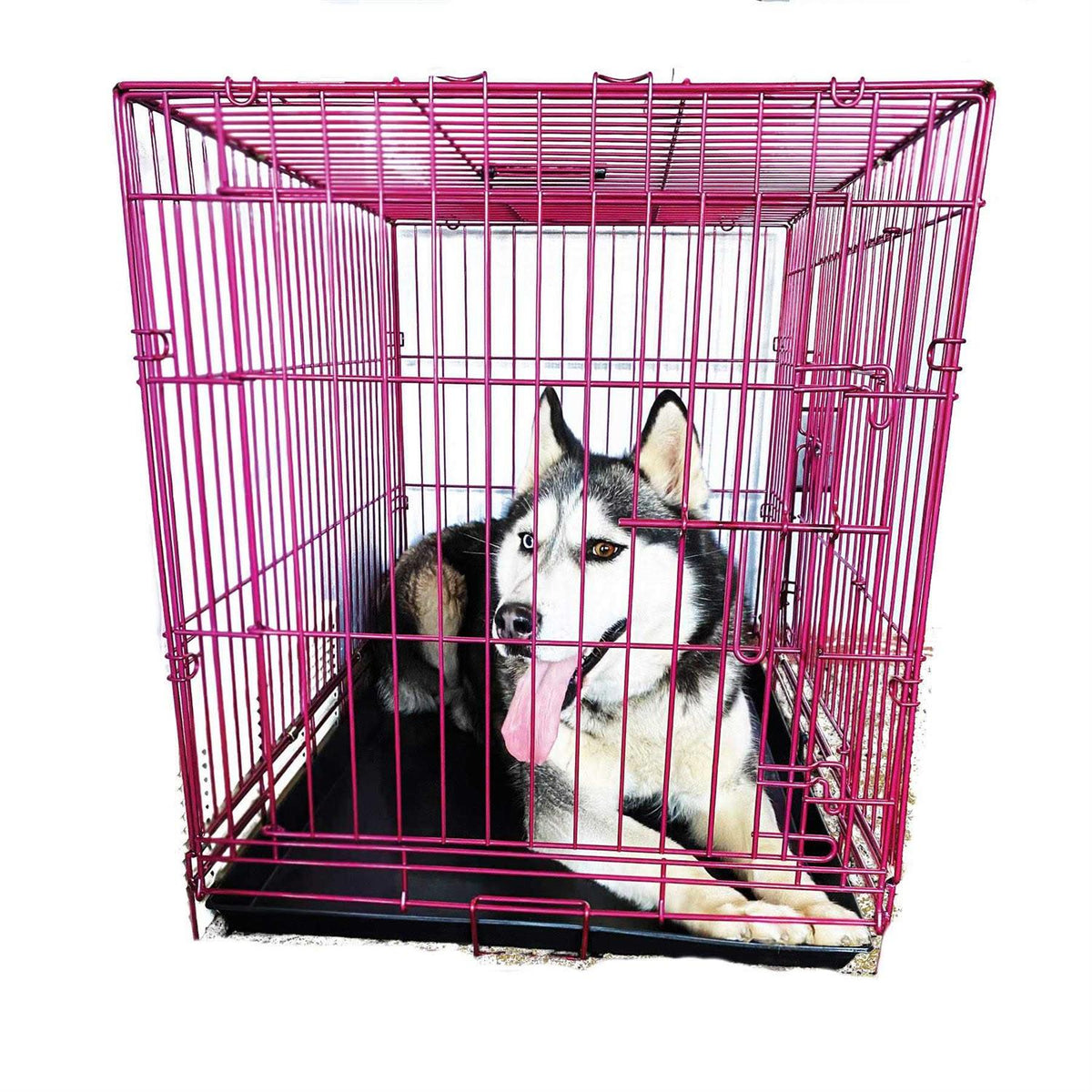 Colored Metal Wire Dog Crate C6040