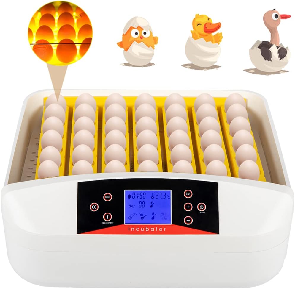 9 Egg Incubator with Temperature Control and Egg Candle Tester Pack of 2 M67721