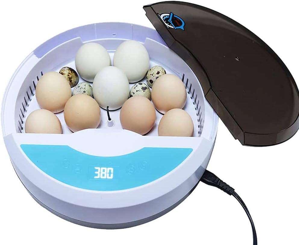 9 Egg Incubator with Temperature Control and Egg Candle Tester Pack of 2 M67721