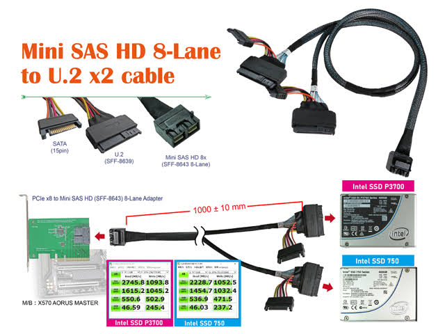 Mini SAS HD 8x to U.2 x 2 Cable B959