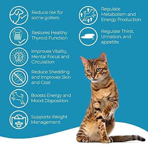 Cat Thyroid Supplement E5774