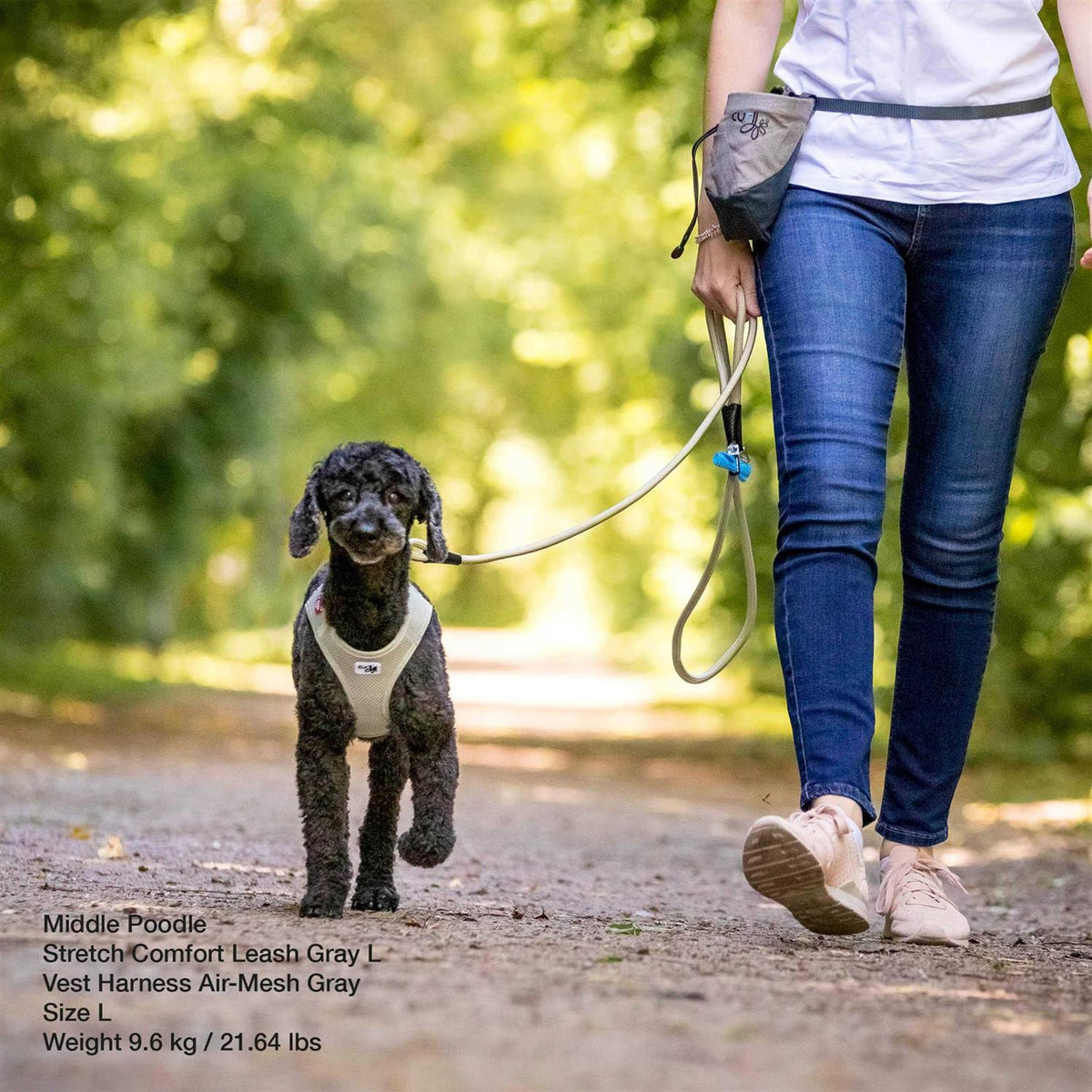 Comfort Leash Y306