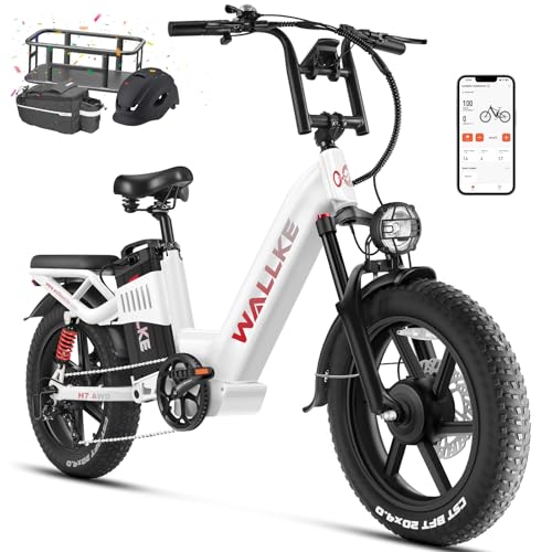 20 Inch Fat Tire Full Suspension Electric Bike Y322494