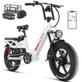 20 Inch Fat Tire Full Suspension Electric Bike Y322494