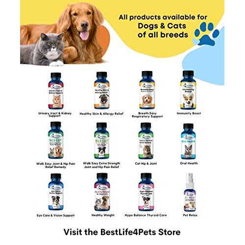 Cat Thyroid Supplement E5774