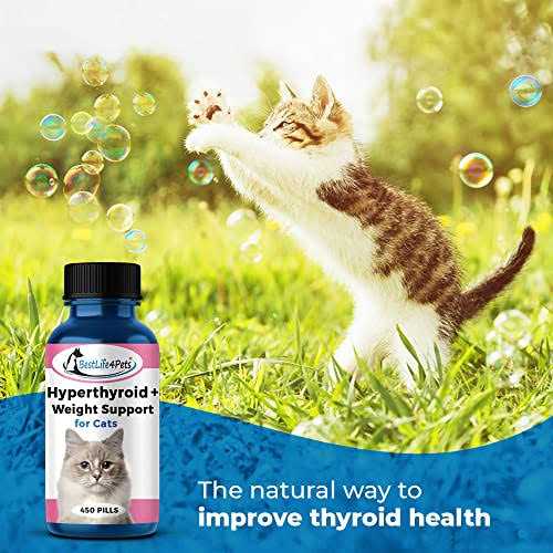 Cat Thyroid Supplement E5774