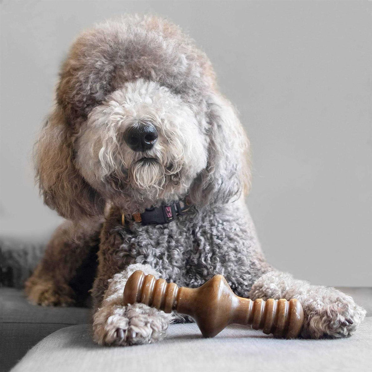Chicken Dog Chew Toy K645475