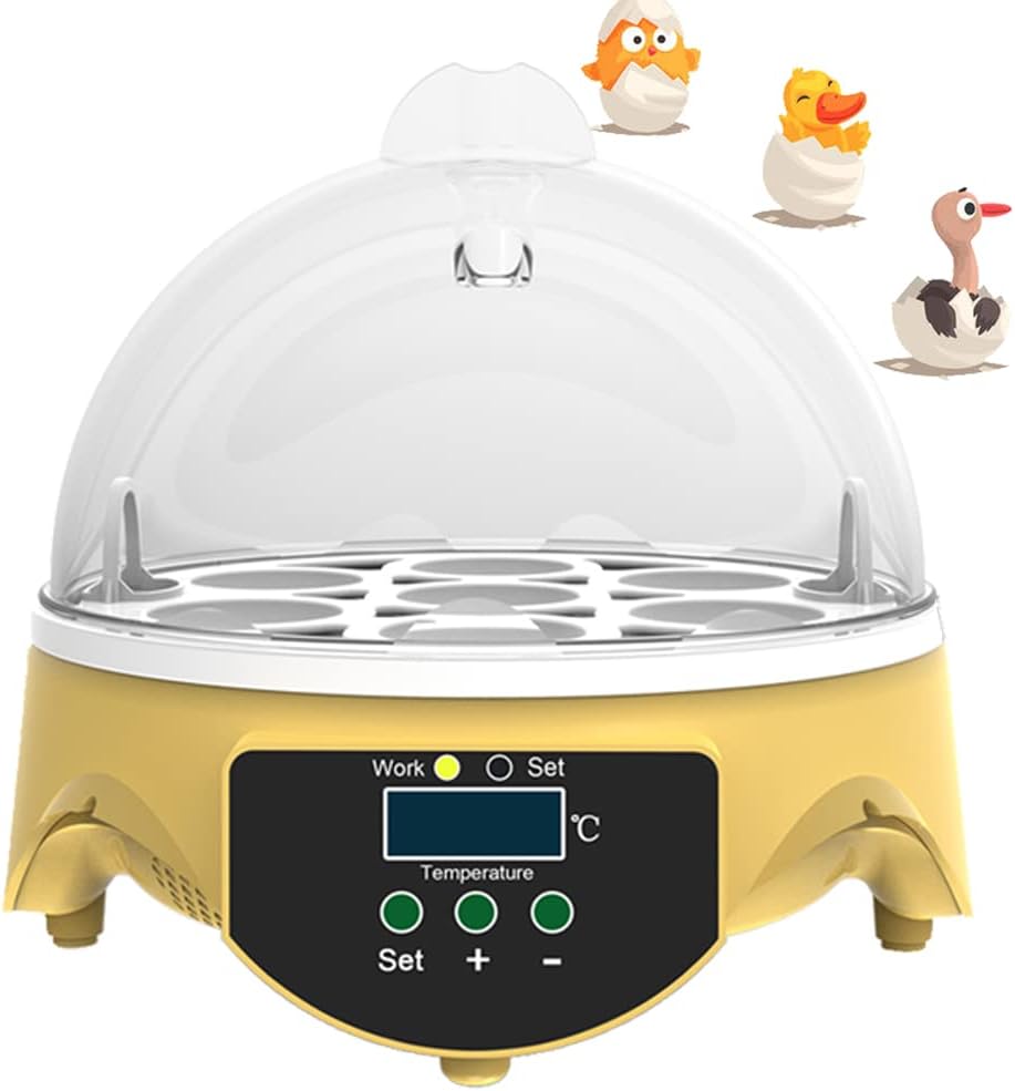 9 Egg Incubator with Temperature Control and Egg Candle Tester Pack of 2 M67721