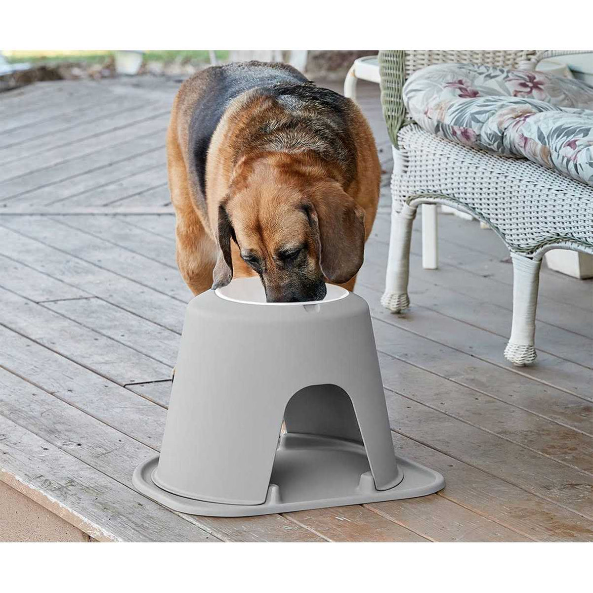 Double High Pet Feeding System N31002