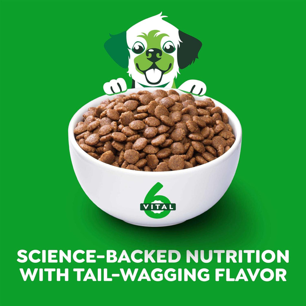 High Protein Real Chicken & Rice Dry Dog Food D674