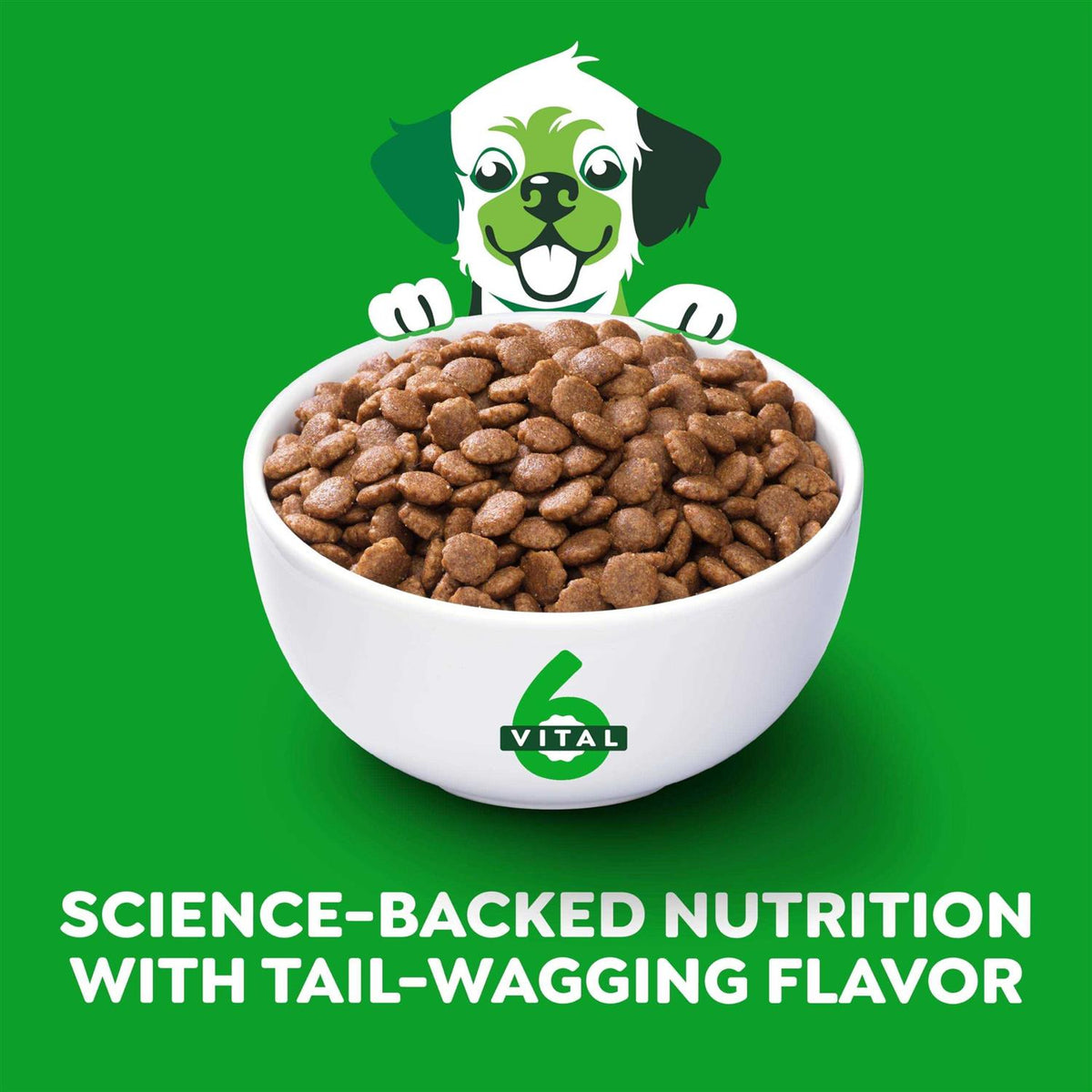 High Protein Real Chicken & Rice Dry Dog Food D674