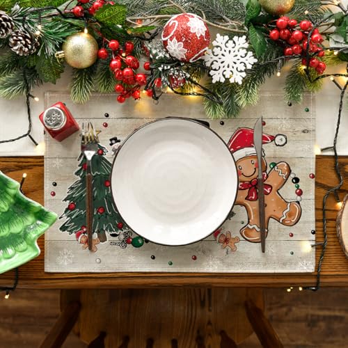 Set of 4 12x18 Inch Christmas Placemats J83989