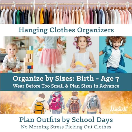 Hanging Clothes Size Dividers X456267