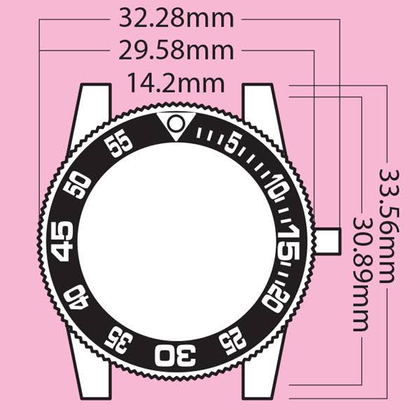 Ladies Watch X10074