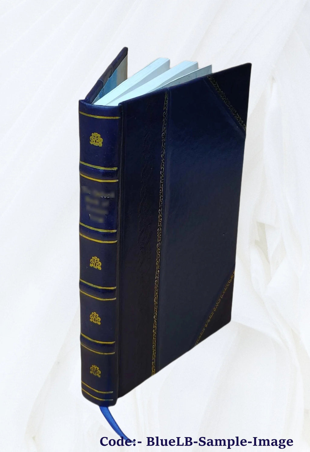 Leather Bound Book Y875