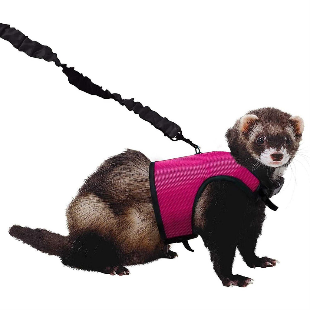 Comfort Harness Stretchy Leash G146645