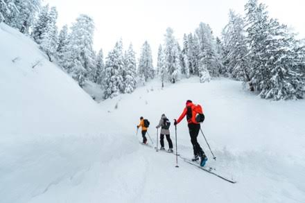Atomic Backland 100 Skis Z109