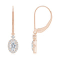 Natural 0.42 Ct. Diamond Drop Earrings in 14K Rose Gold M728