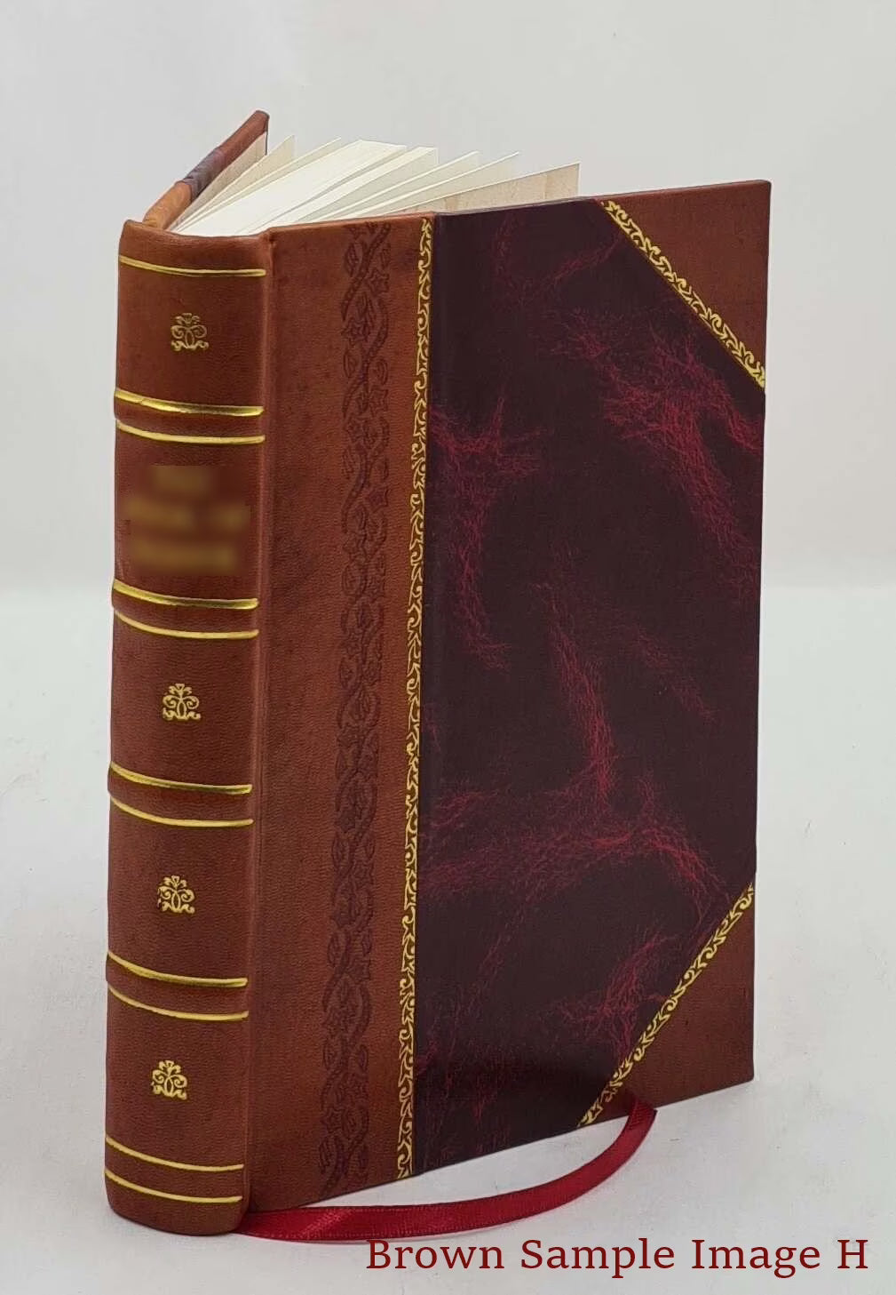 Leather Bound Book I17049