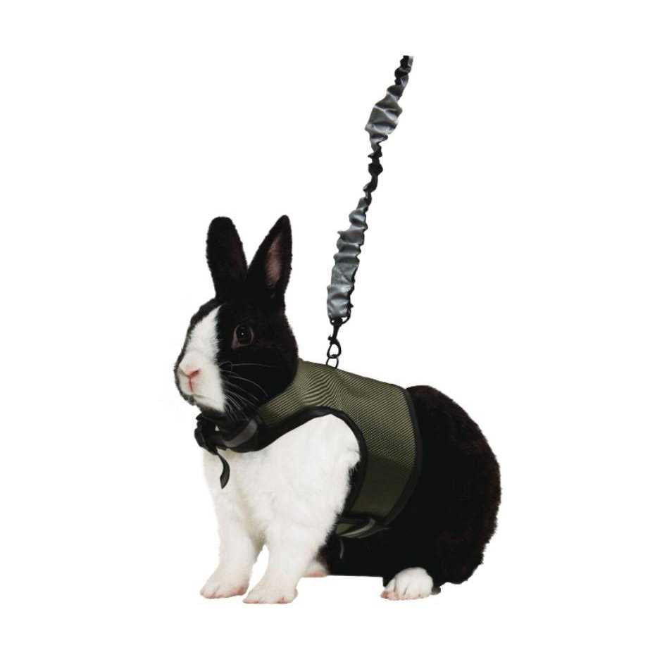 Comfort Harness Stretchy Leash G146645