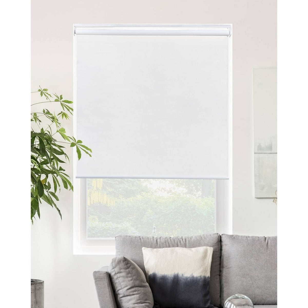 53 x 72 in. Cordless Room Darkening Roller Shades S6578