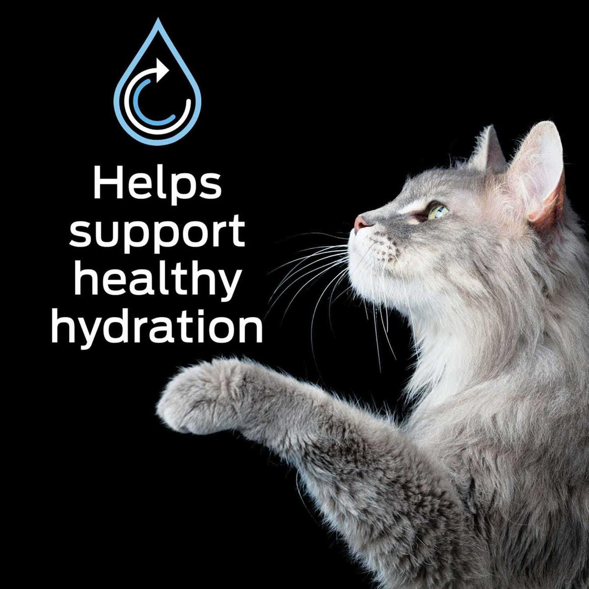Hydra Care Pet Supplements Y568