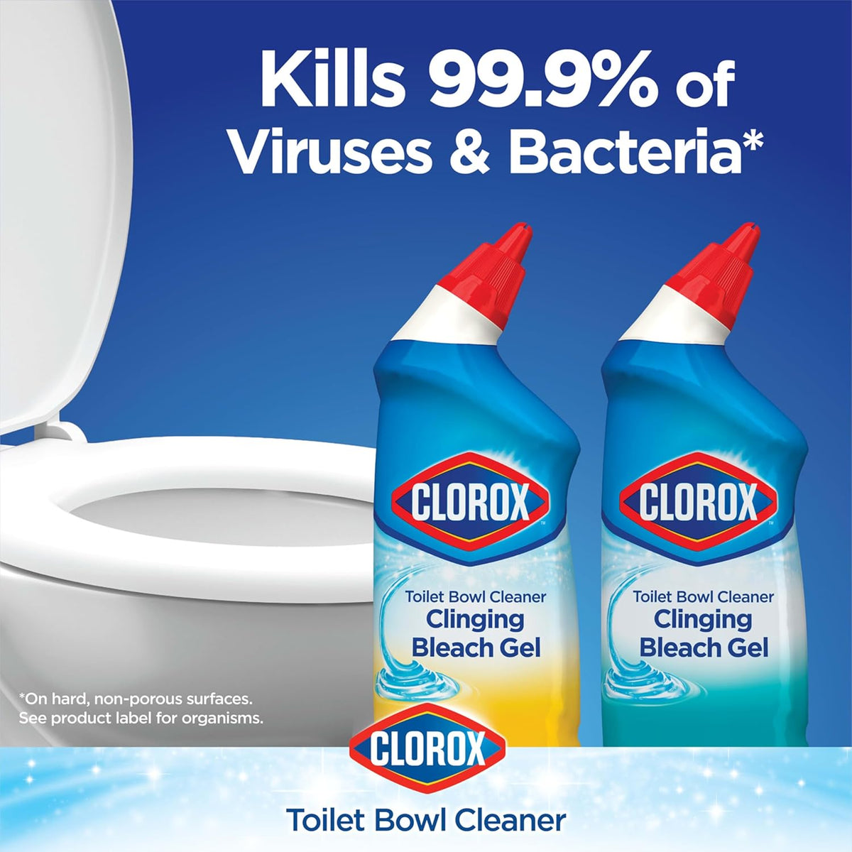 24 Ounces Pack of 2 Toilet Bowl Cleaner L241