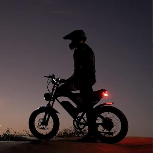 20" Fat Tire Electric Bike 1000W 48V 20AH L4797