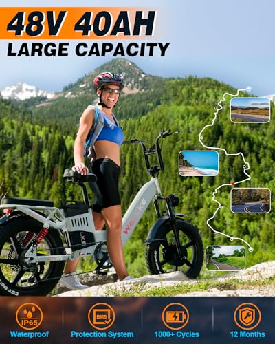 20 Inch Fat Tire Full Suspension Electric Bike Y322494