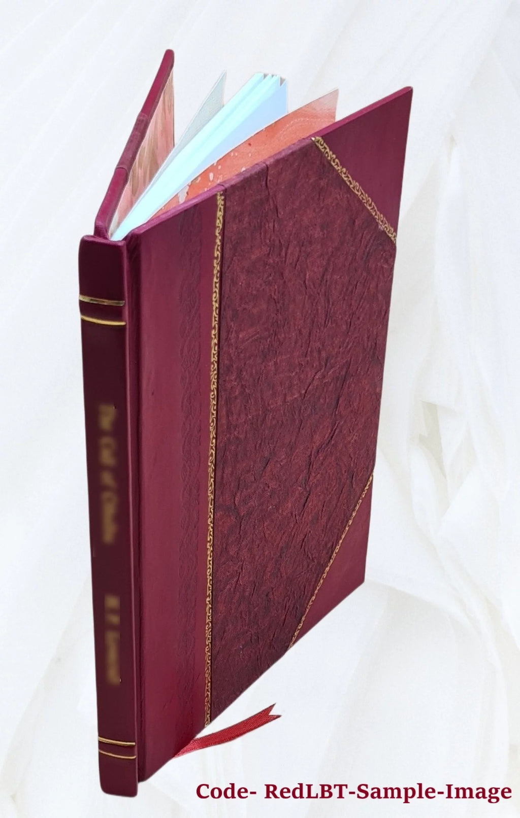 History of Ireland in the Nineteenth Century Leather Bound T341643