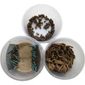 Dubia Small Roach Hornworm & Superworm Live Feeder Combo Reptile Food X4846