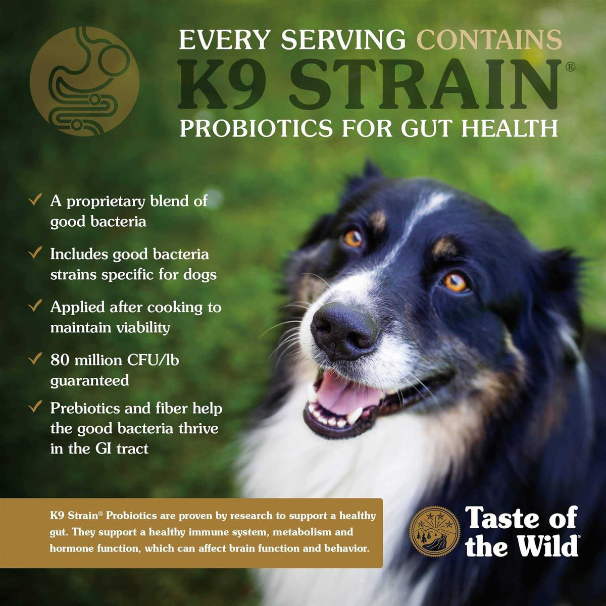 Dog Food S14121