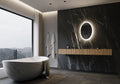 20 x 28 Oval Backlit Mirror 6000K T49626